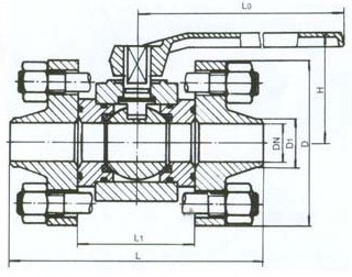 Q61N���������y�Y���D��