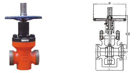 �@���߉����{�l�yZ23X�Y���D��